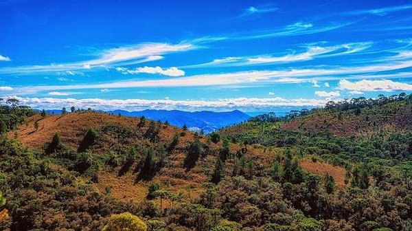 Le tourisme écologique : une expérience de qualité